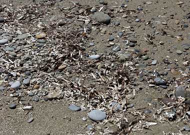 Sea beach ground Crete