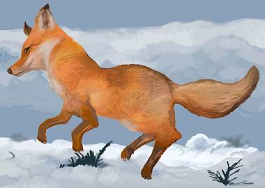 Fox