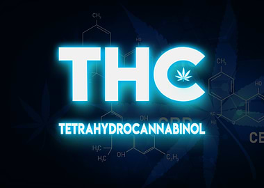 Cannabis Weed Marihuana