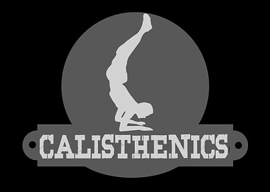 Calisthenics Physical Ex