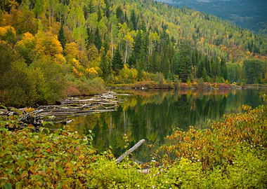 Colorful Fall Reflections