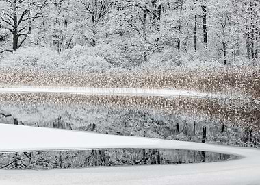 Winter reflections