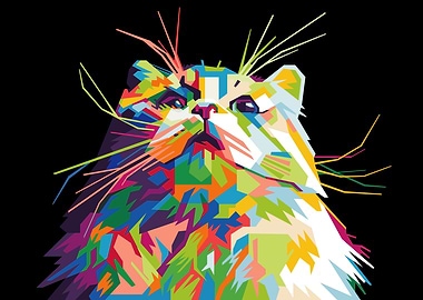 colorful funny persian cat