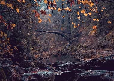 Fairytale forest bridge