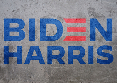 BIDEN HARRIS GRAFFITI