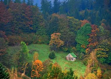 Small cabin in mountains