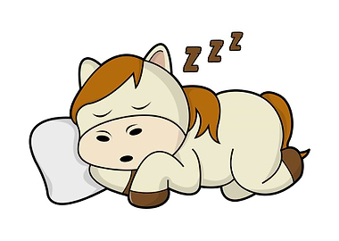 Horse Sleeping Pillow