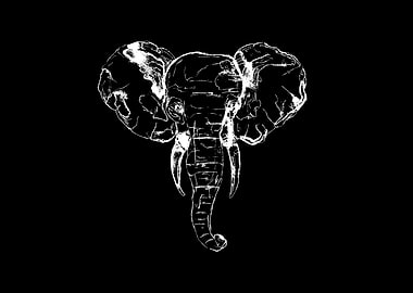 Black and White Elephant