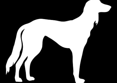 Saluki
