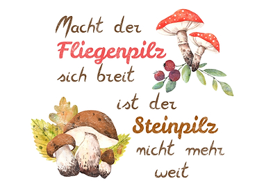Pilze Pilzsammler Spruch