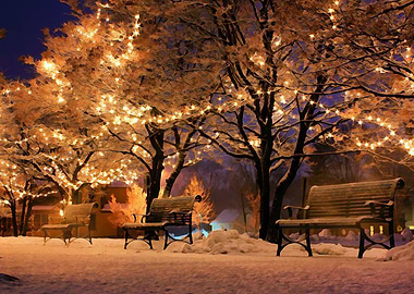 Christmas Silent Night