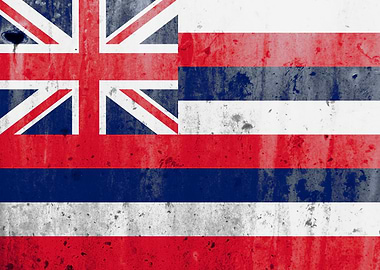 Hawaii State Flag