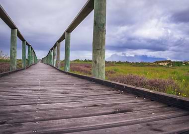 Wooden boardwalk