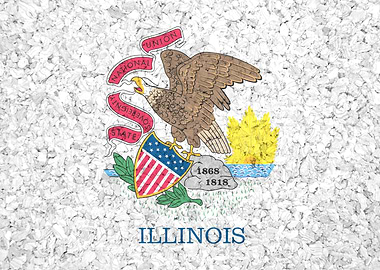 Illinois State Flag