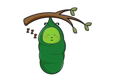 Caterpillar Sleeping Tree