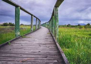 Wooden boardwalk