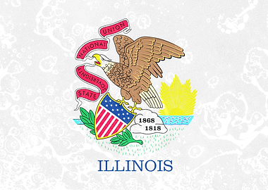 Illinois State Flag