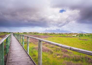 Wooden boardwalk
