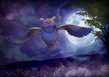 Midnight Owl