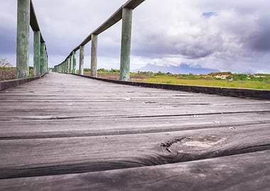 Wooden boardwalk