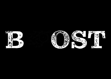 Turbo Boost turbocharger t