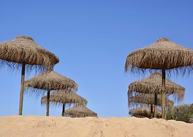 Tropical beach ambience 03