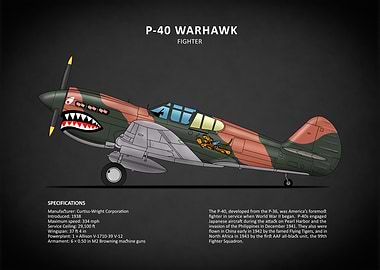 The P40 Warhawk