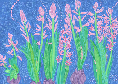 Pink Hyacinth Flowers