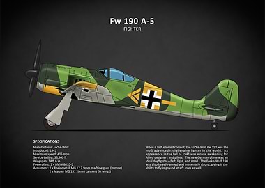 The Fw 190 Fighter