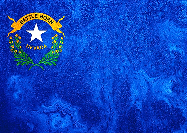 Nevada State Flag