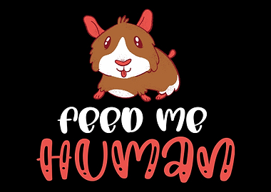 Guinea pig Gift Feed me