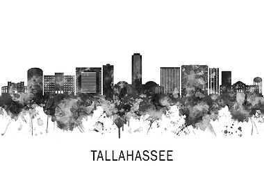 Tallahassee Florida BW