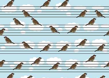 Musical sparrows