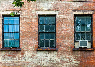 Windows in New York