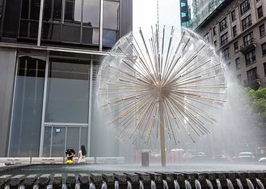 Water dandelion in New Yor