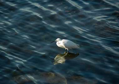 grete hunting around