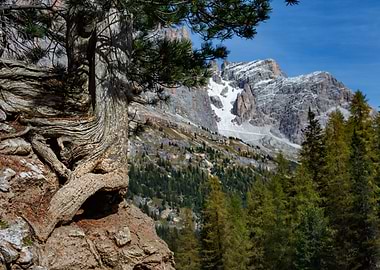 dolomite viewpoint