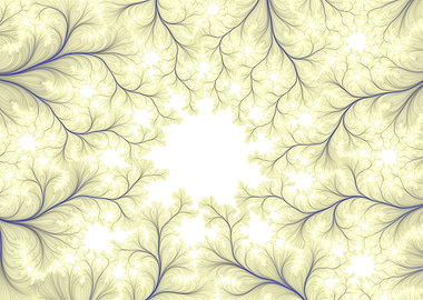 Abstract Flora Clean Lines