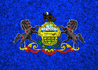 Pennsylvania State Flag