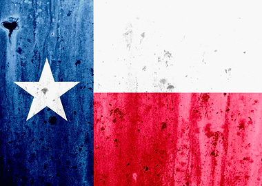 Texas State Flag