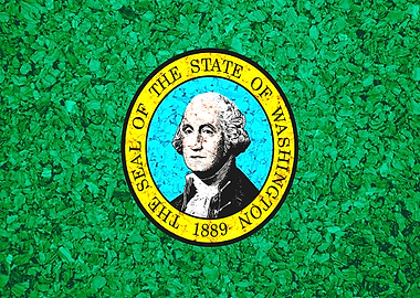 Washington State Flag