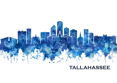 Tallahassee USA Skyline