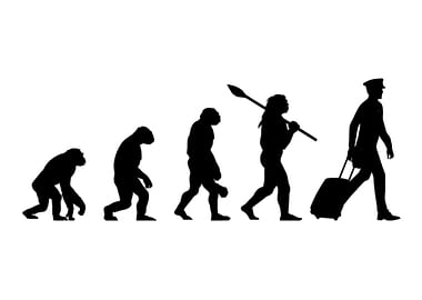 Pilot evolution gift