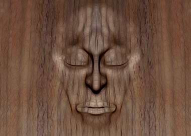 Wood face