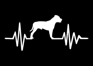 Staffordshire Bull Terrier