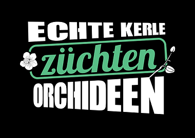 Orchideen Orchids Orchidee