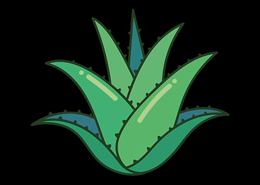 Aloe Vera Garden Plant Flo