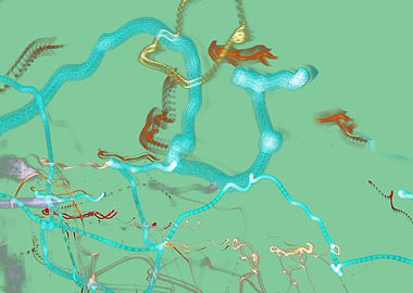 Marshmallow Aqua Candy