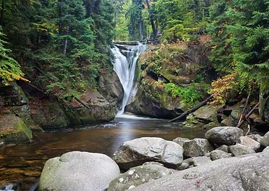 Mountain Forest Waterfall