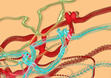 Marshmallow Mandarin Candy